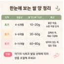 양  수 | 아기 이유식 쌀 양 얼마나? 개월수별 기준 총정리 (초기·중기·후기)