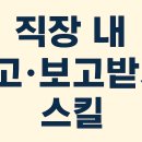 보고보고