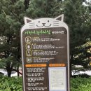 구갈희망누리도서관 이미지