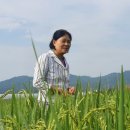 (주)대풍환경 이미지