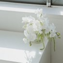 🕊️ Wedding 05 : 웨딩 플라워 디렉팅 후기 (루은 플라워 with 라이크어스)