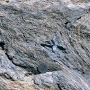 진량-9(상림리 교통섬) | 한국의 지질노두 -고모성 트라이아스기 동고층[ The Triassic Donggo Formation of Gomoseong, Mungyeong ]
