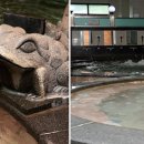 탑유황온천 이미지