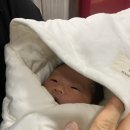 리엘산후조리원 | 리엘 산후 조리원 후기