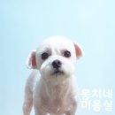 뭉치네 미용실 이미지