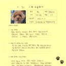 1394 | [#1394] 감이(양측 슬개골탈구 G3 / 양측 전방십자인대)의 수술후기