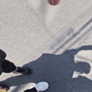 수성나무재활의학과의원