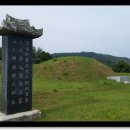 선영 이미지