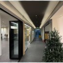 셀럽피트니스 | 오송헬스장 청주 오송의 새로운 헬스장, 셀럽피트니스 후기