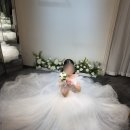 파라팜 | Wedding3. 스튜디오 촬영 드레스 셀렉 - 파라팜 웨딩