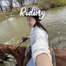 승마장 | 외승 후기, 학소리승마장에서 여유로운 승마