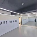 스탤론의울트라복싱체육관 | [대학로/한성대/종로/주짓수/복싱/헬스/유도]art of mma 오픈매트 후기/약수순대국 리사르커피