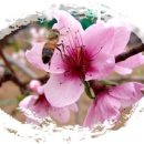 흙내음농장 이미지