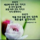 🌐전.세계가 포기한 르완다' 에 식량난을 한국이? 《통일벼로 해결한 충격적인 이유?》 이미지