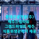 롯데관광주 이미지
