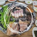 도야돼지한마리