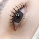 눈에반하다 - 원주시 | 눈에반하다
