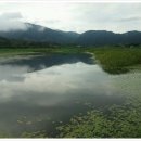 별,바람,꽃길 이미지