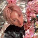 스쿨시티 이미지