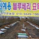 선운 농장 이미지