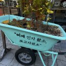 인자왔소