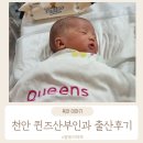 퀸스산부인과의원 | 천안 성정동 퀸스산부인과 출산 리얼후기