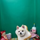 르네펫살롱 이미지