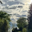 노이하우스 민박 이미지