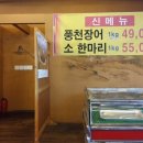 청석골장어