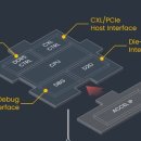 AI 반도체와 함께 뜨는 ‘CXL’이 뭐길래... 창업 1년만에 1000억 기업가치 받은 곳도 이미지