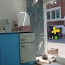 이쁜댕 이미지
