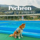 애견하우스 | 포천 수영장 글램핑 트리풀하우스 애견 동반 후기