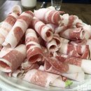 대영돈돼지