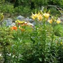 숲속의 쉼터 이미지