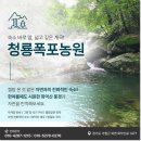 숲속농원민박 이미지