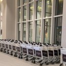 비고리조트 9 | 롯데리조트 속초 부대시설 소개 내돈내산 이용후기! 🎉