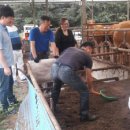 이병도농장 이미지