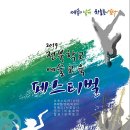 보로 이미지