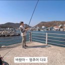 칠포항펜션 | 포항 낚시포인트 칠포항