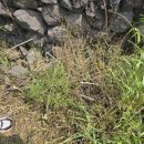 상예동-4 이미지