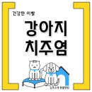 강아지 치주염 이해와 치료의 중요성(김포 장기동 수애 동물병원)(운양동 동물병원)(구래동 양곡 동물병원