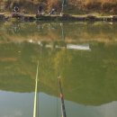 산골낚시터 이미지