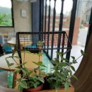 메종드블랑제 이미지