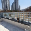 이룸독트레이닝 이미지