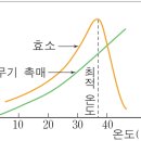 수원24시 바른동물의료센터 이미지