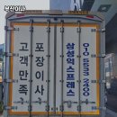 양이사 | 부산이사 잘하는 곳 찾는 법, 후기 믿어도 될까? 완벽 가이드