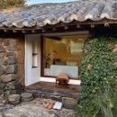 스테이 고집 이미지