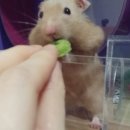 왕자네 | [무나후기] 왕자네님 무나후기 :)