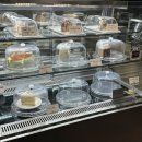 BRONZE(브론즈) | [안국역 카페] 10년째 단골인 나만 알고 싶은 인생 커피, 커피브론즈(Coffee Bronze) 후기