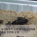 귀뚜라미설비공사